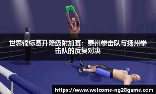 ng南宫28官网