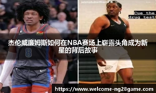 ng南宫28